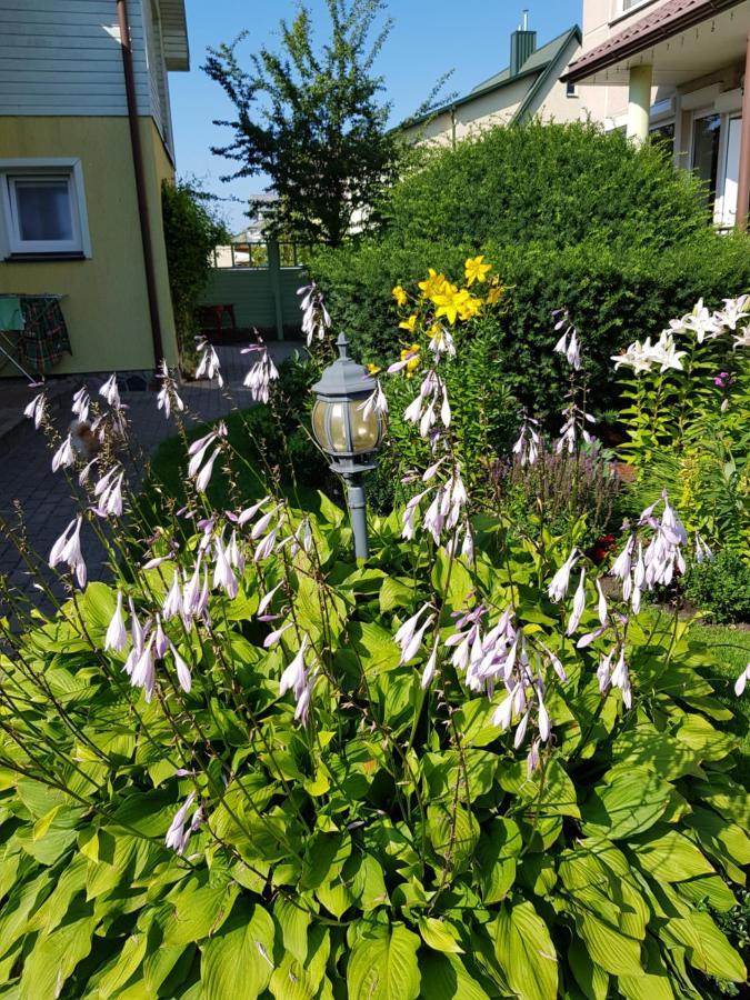 Vila Florena Garden Palanga Exteriör bild